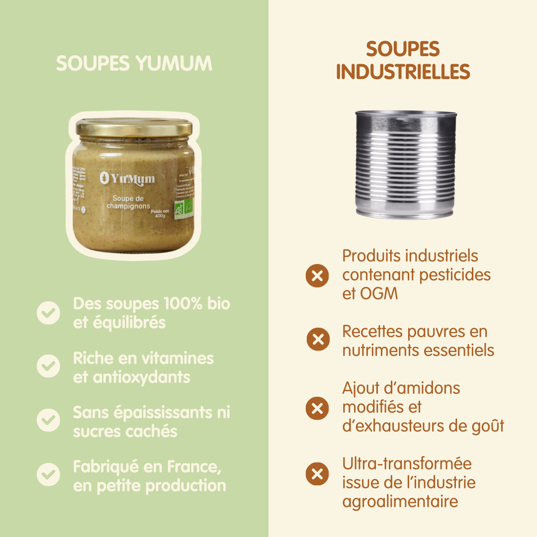 Soupe de champignons