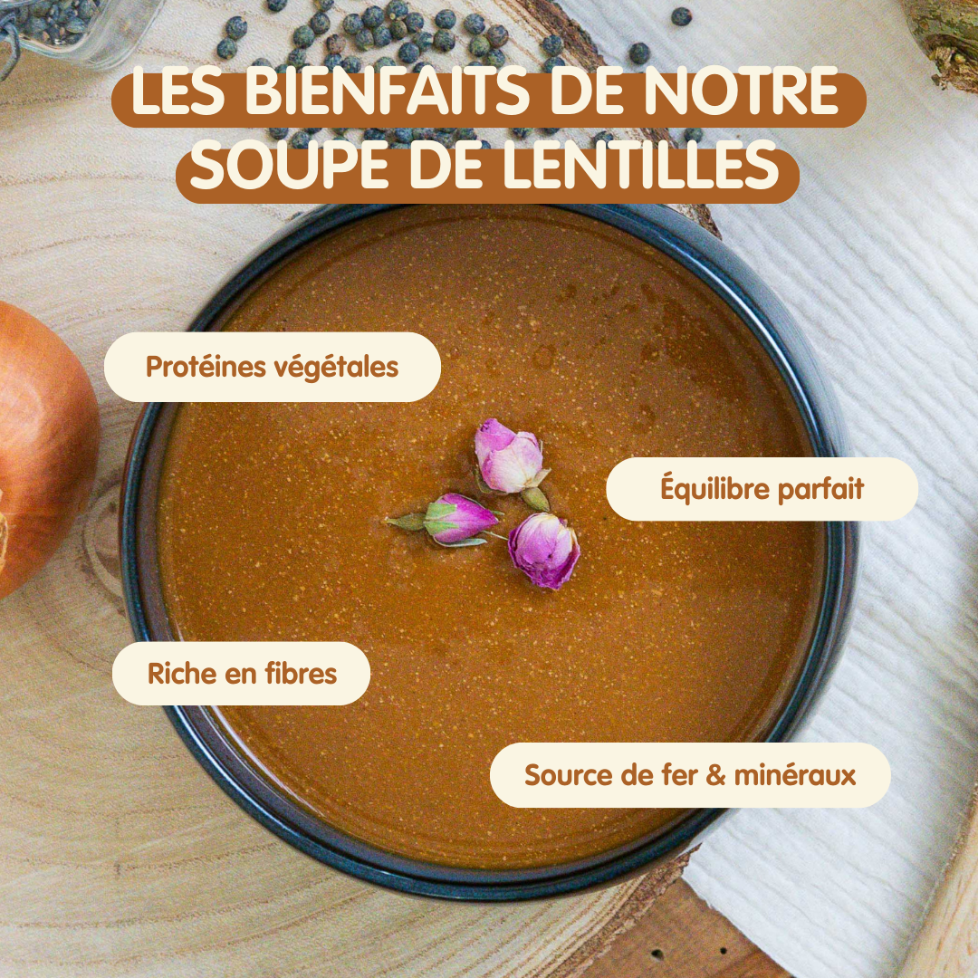 Pack Soupe de lentilles x6