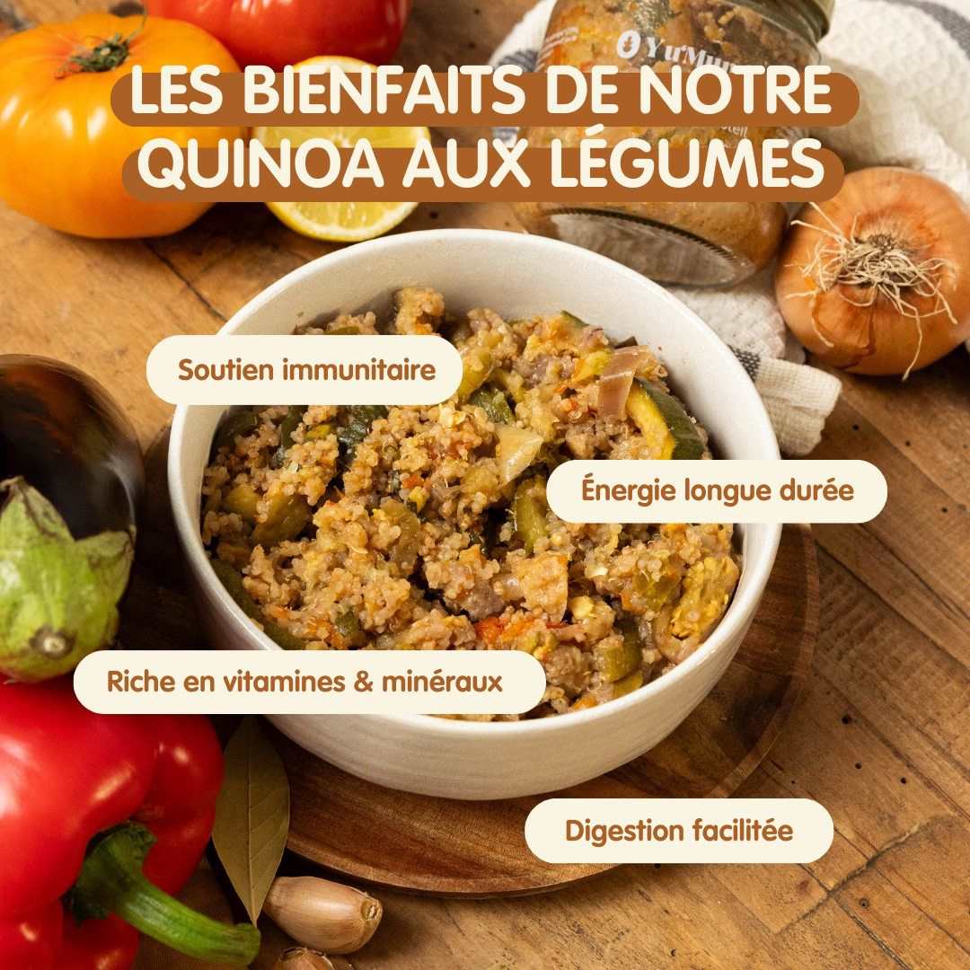 Pack Quinoa aux légumes du soleil x6