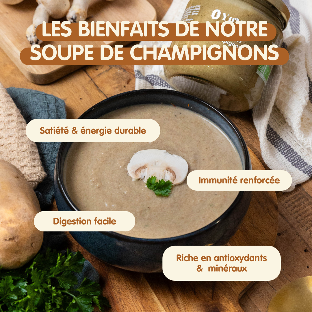 Soupe de champignons